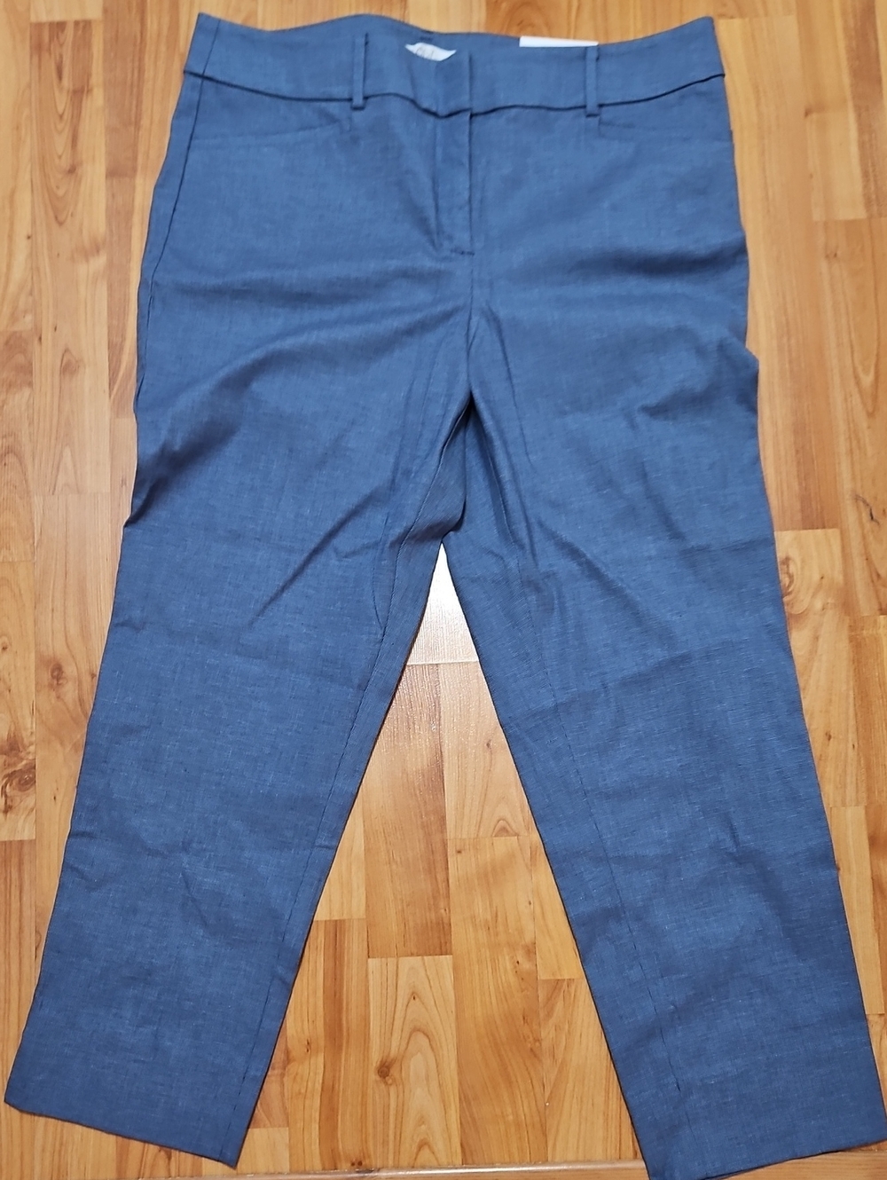 LOFT Slate Blue Women's Tailored Trousers- The Riviera Pant